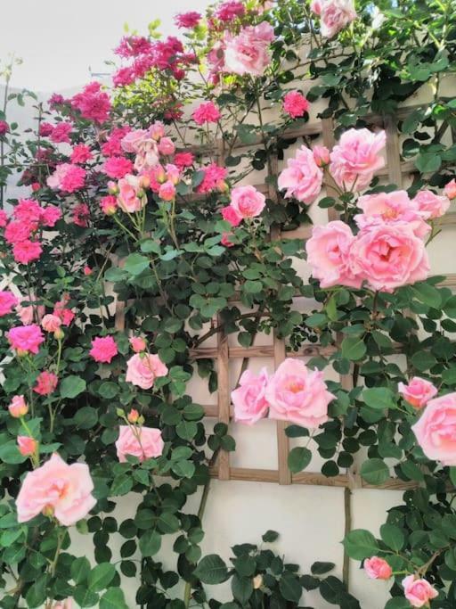 Villa Rural El Campillo de Rodalquilar Dış mekan fotoğraf